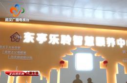 中宣部采访团到访武汉东亭社区ng电子游戏智慧保养中心